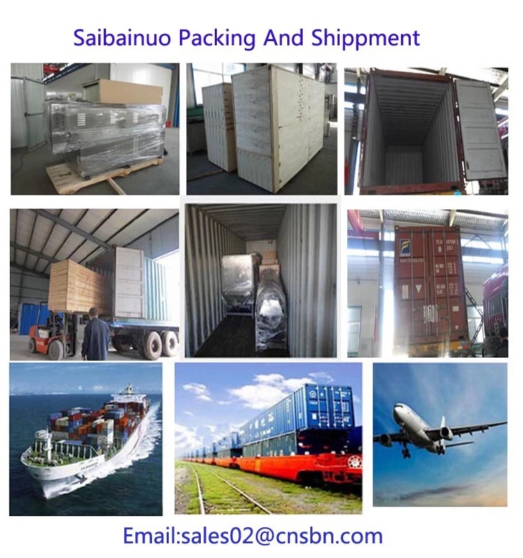 CE And BV Certificate Approved professional Automatic complete Dog food extruder machine