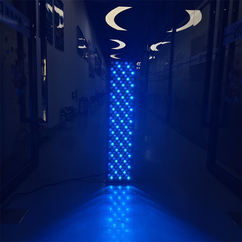 Full Body 660 850Nm Infraredblue Light Therapy Red Light Therapy Panel For Beauty Salon