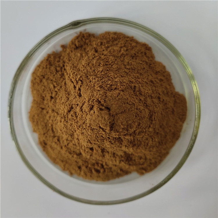 Herbal Medicine Elsholtzia Extract For Relieve Pain