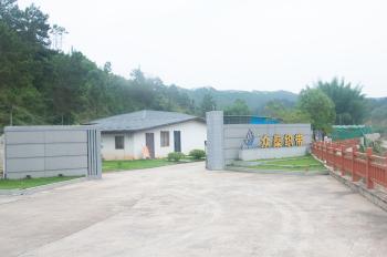 Guangzhou Zhongshen Ribbon Product Co., Ltd.