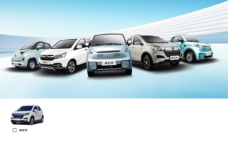 2024 Micro Electric Vehicle Low-Speed Five Doors Five Seats and Max Speed of 60km/h