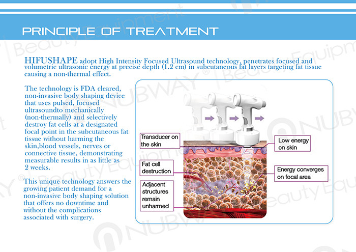 HIFUSHAPE body slimming machine non invasive fat reduction procedures