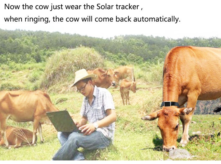 Mini Solar Animal Gps Tracker Gps Tracking Device Long Battery Life Sim Card