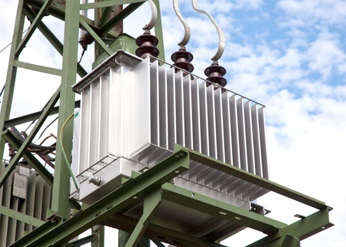 2020 Hot sale Energy Saving 800kva Oltc 10kv/0.4kv Distribution Transformer Low Voltage High Performance