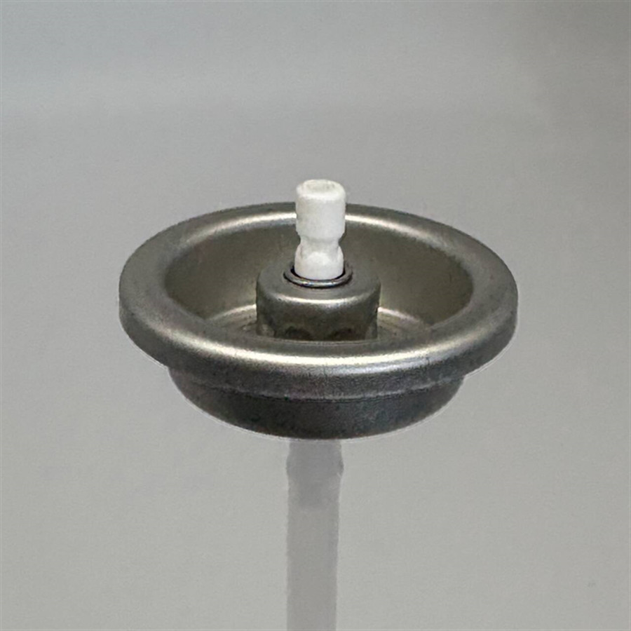 Universal Tire Inflator Valve for RVs with Versatile Compatibility