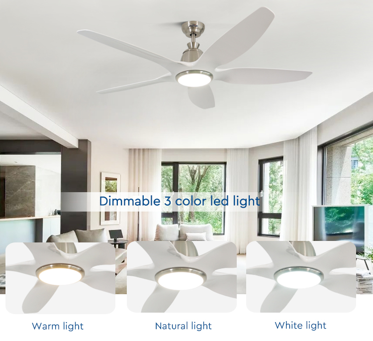 60" 5-Blade ABS LED Ceiling Fan with Light REACH Certified Low Energy Consumption