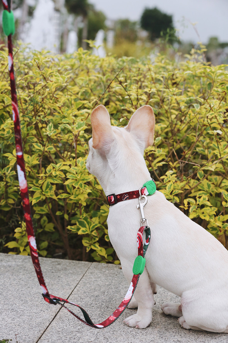 5 Foot 4 Foot Anti Pull Dog Leash