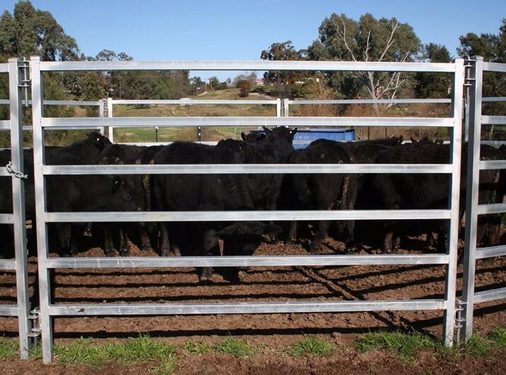 Customized Corral Fence For Cattle Sheep Galvanized Steel Fence