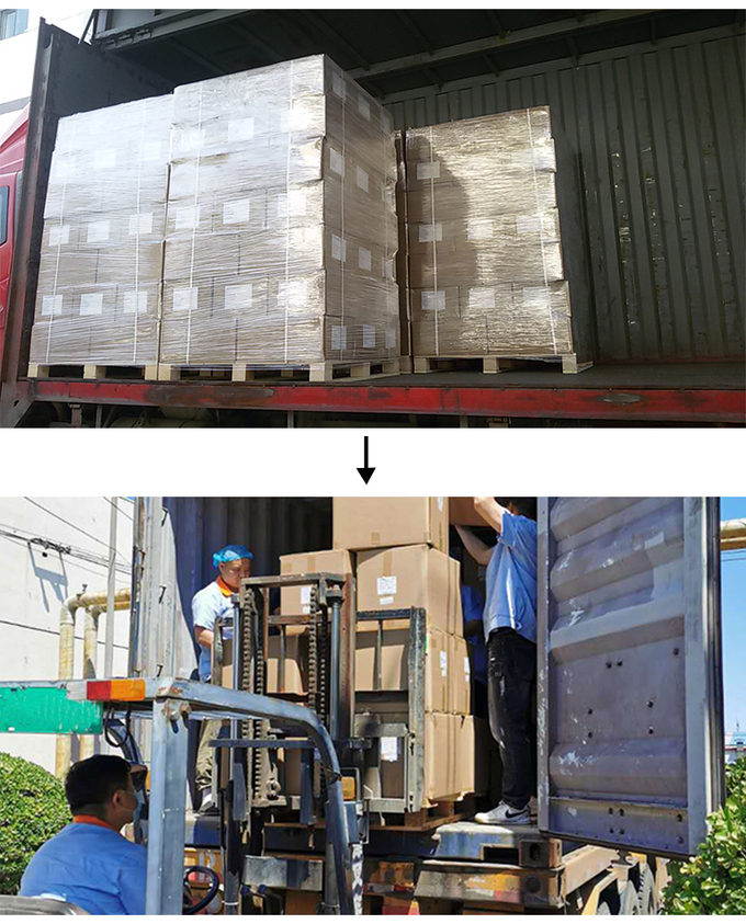 Low Price OEM Custom Brand Packaging Wholesale Sausage Casing Printing Plastic Casing