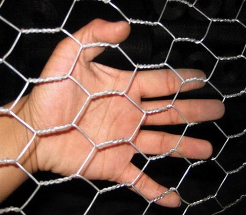 Reverse Twist / Normal Twist Hexagonal Wire Mesh For Chicken Cage Or Garden
