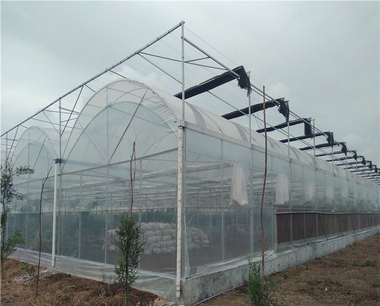 Agriculture Poly Tunnel100% Blackout Automatic Light Deprivation Greenhouse for Canada / USA