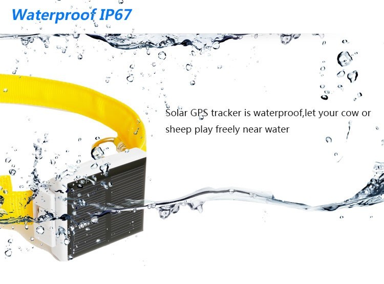 Mini Solar Animal Gps Tracker Gps Tracking Device Long Battery Life Sim Card