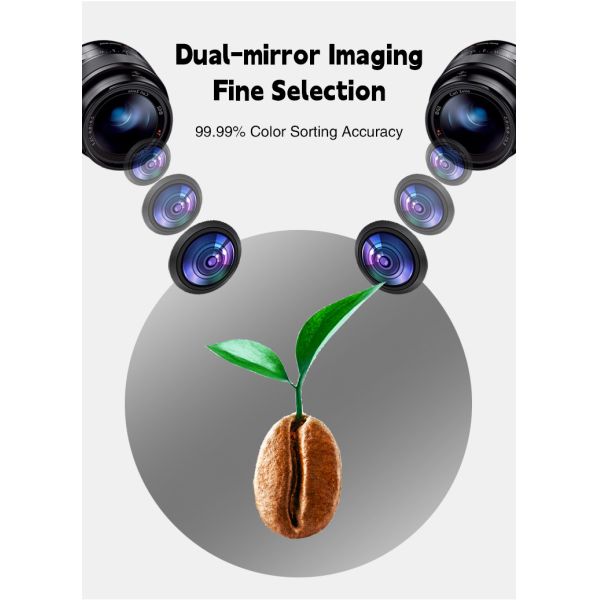 Rice Coffee Beans Optical Grain Color Sorter Machine Coffee Bean Shape Sorter Colour Sorter Machine