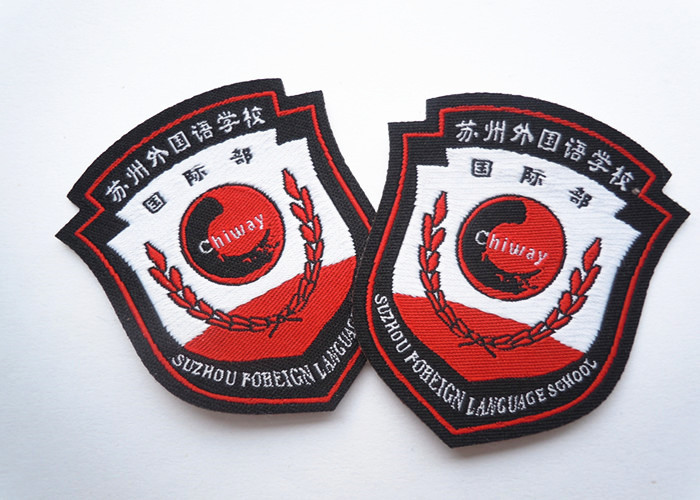 Personalized Custom Clothing Patches SKI Embroidery Patch Handmade