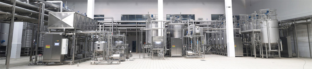 Yogurt Production Line/Milk Processing Unit/Yogurt Processing Machine