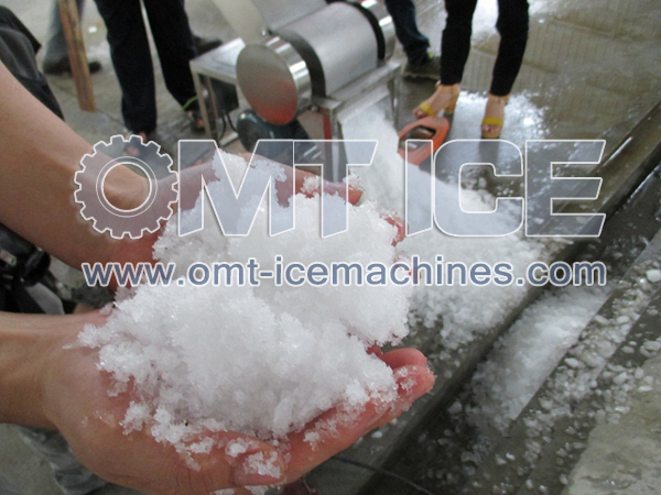 Cooling Fish Industrial Ice Crusher Machine Stainless Steel Commercial Ice Crusher