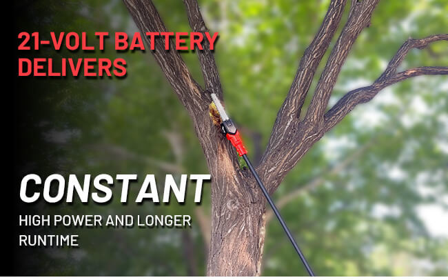 8 Inch Long Pole Chainsaw High Reach Cordless Battery Pruning Saw