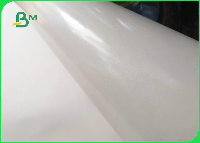Biodegradable Single PE Laminated Coated Paper Jumbo Roll For Food Wrapping Paper 