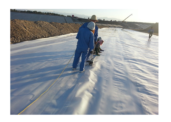Hdpe Swimming Pool Polyethylene Geomembrane Flexible Small Pond Liner