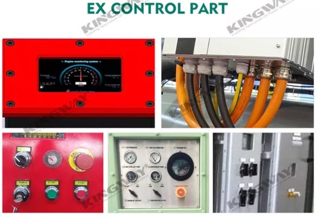 ATEX Zone 2 Temp Class T3 Diesel industrial Generator Set Explosion Proof 250KVA