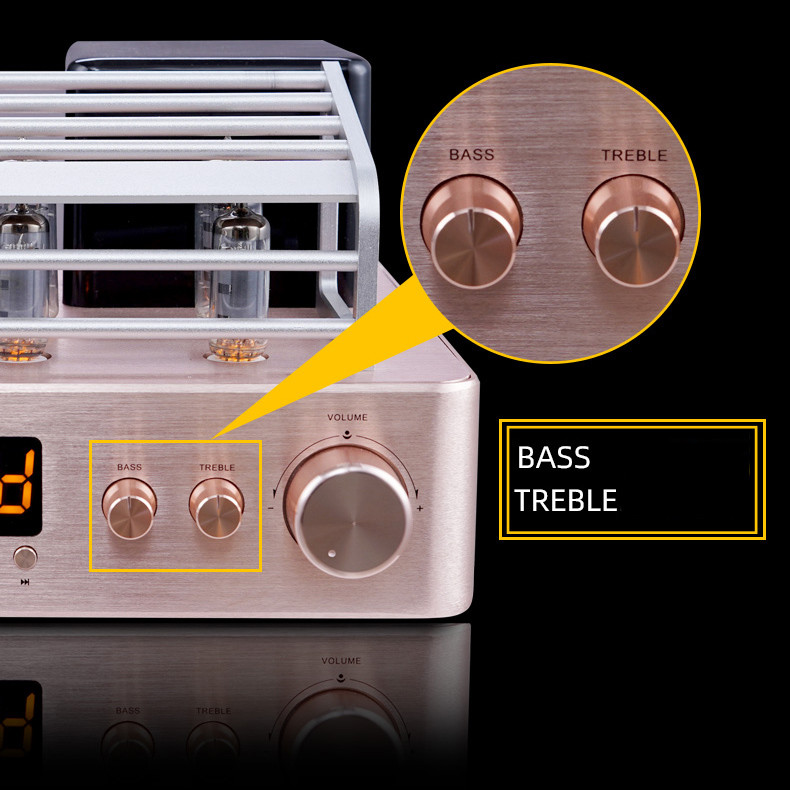 Integrated Stereo Hybrid Vacuum Tube Audio Amplifier With Subwoofer Output MIC Output