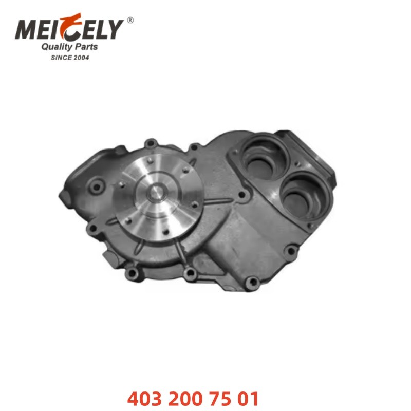 High-Quality Water Pump Engine Parts 4222001001 / 4222001101 For Merceds-Benz