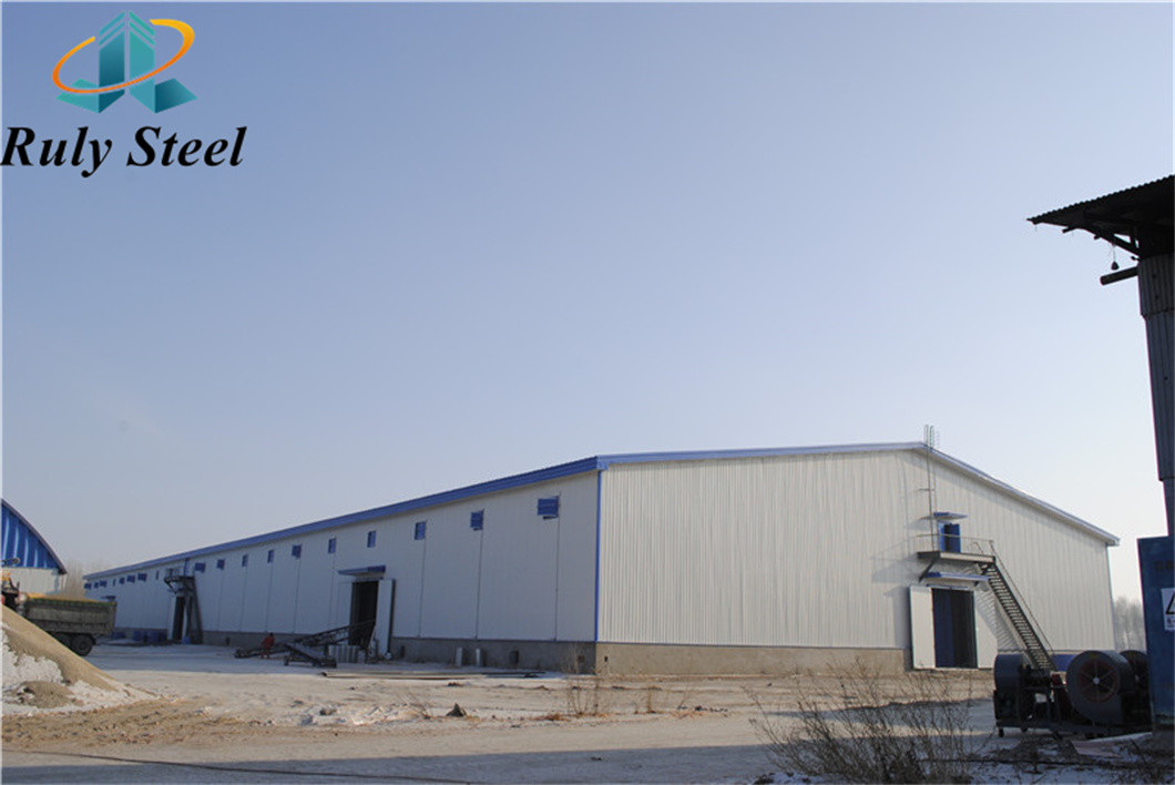 Large Span Steel Poultry House Prefab House Building Construction
