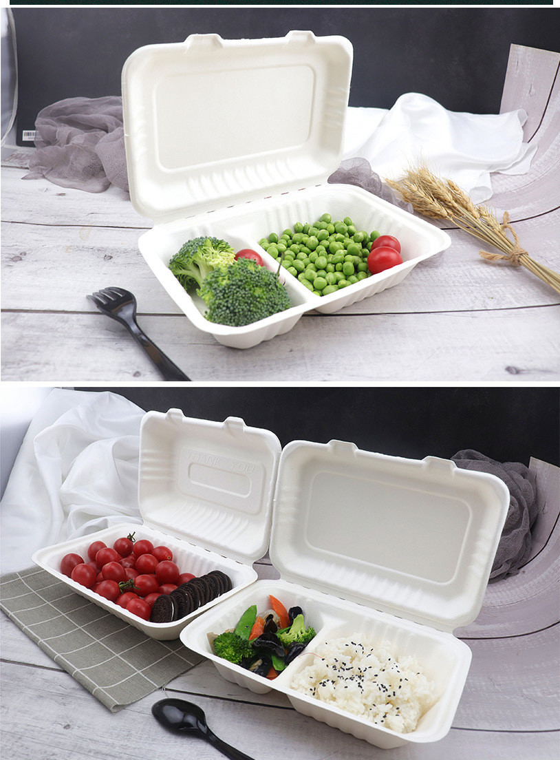 2 Compart Sugarcane Fibers Clamshell Lunch Box Eco Friendly Biodegradable