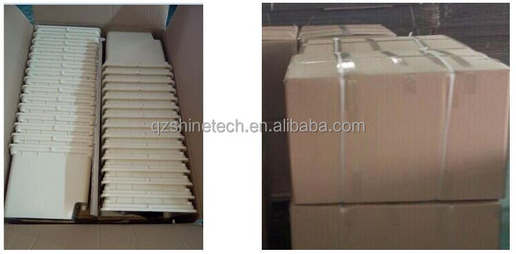 Film Covered Single Span Agricultural Greenhouse For Hydroponic Crop Cultivation