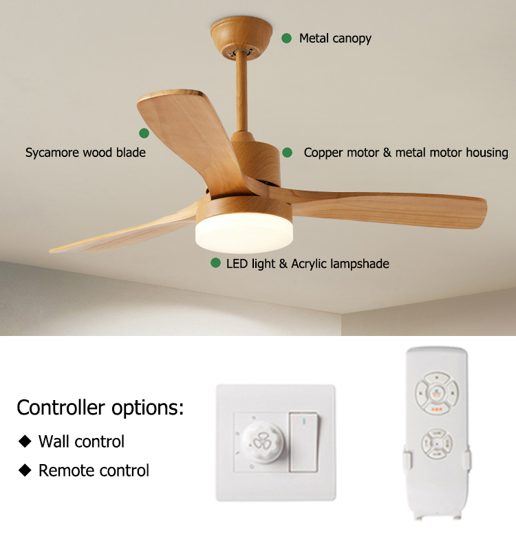 52 Inch Luxury Household Ceiling Fan with Light and Remote Control AC Copper Motor