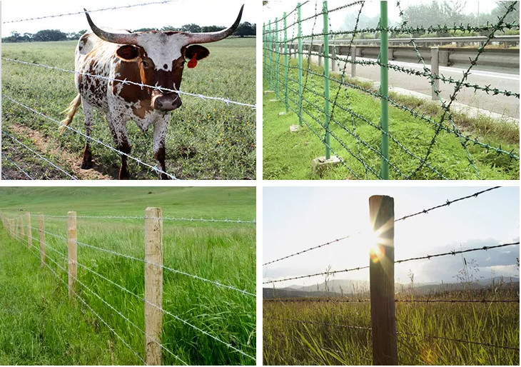 Galvanized PVC Coated Barbed Wire with Optimal 20g/m2-200g/m2 Zinc Coating Protection