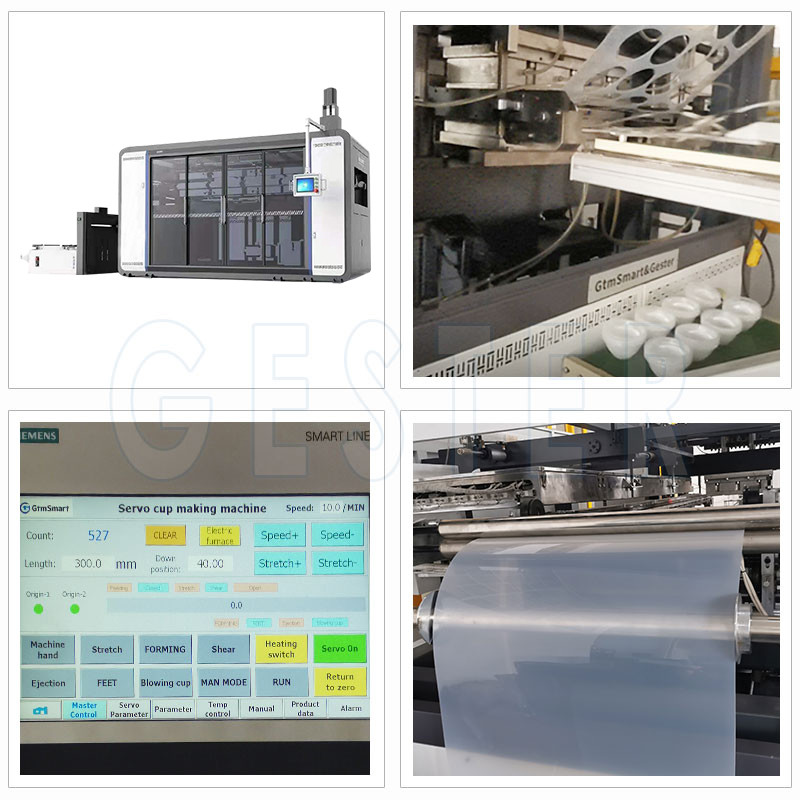 Disposable PLA Plastic Cup And Bowl Thermoforming Machine