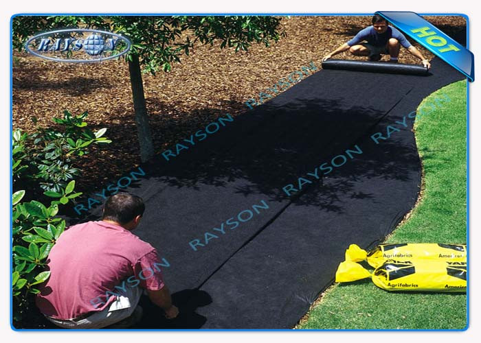 Anti UV PP Non Woven Landscape Fabric for Agricultural Area as Ground Coverings or Plant Bags