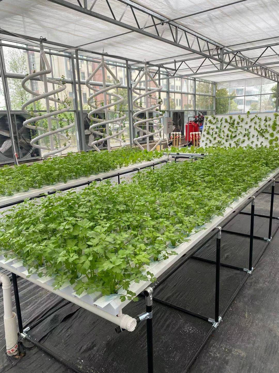 The Best Garden Vertical Hydroponics System NFT for Vegetable & Flower Growing