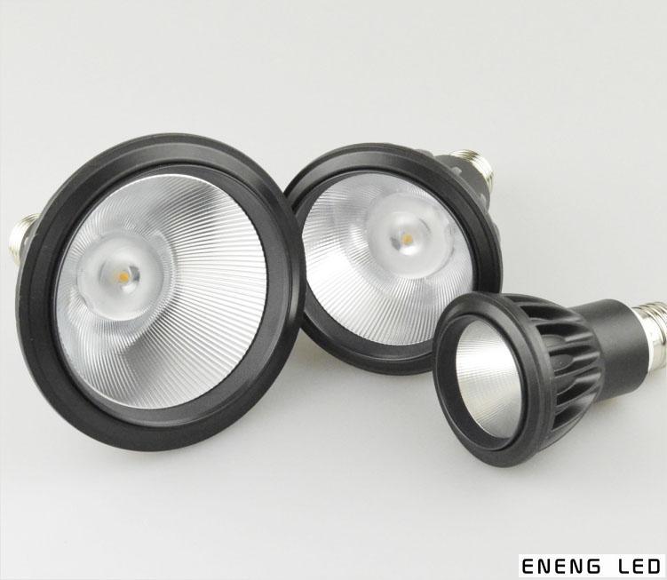 high lumens 85LM/W E27 12W led par30 spot light with cob led led par30 light Track lamp to Replace 50W metal halide