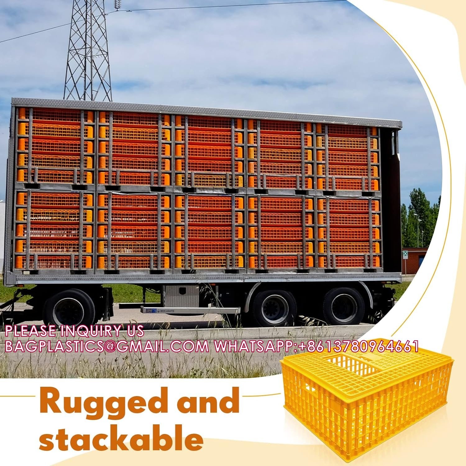 Poultry Carrier Crate Chicken Transport Cage Bird Chicken Carrier Travel Crate Basket Box