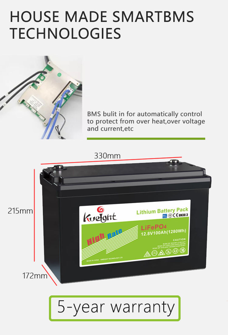 100ah 12V LiFePO4 Battery Lithium Pack For Home Appliances Use