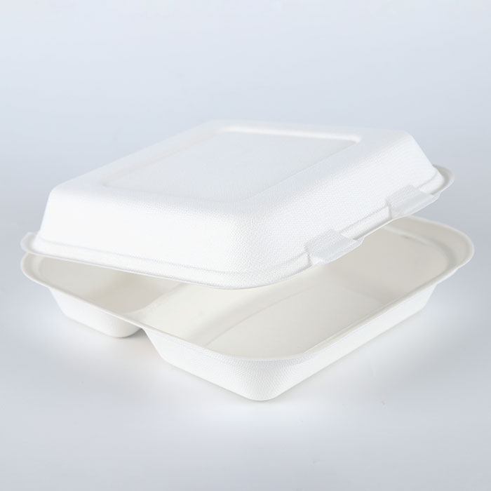 8 inches Biodegradable sugarcane bagasse 3 division disposable food packaging container boxes