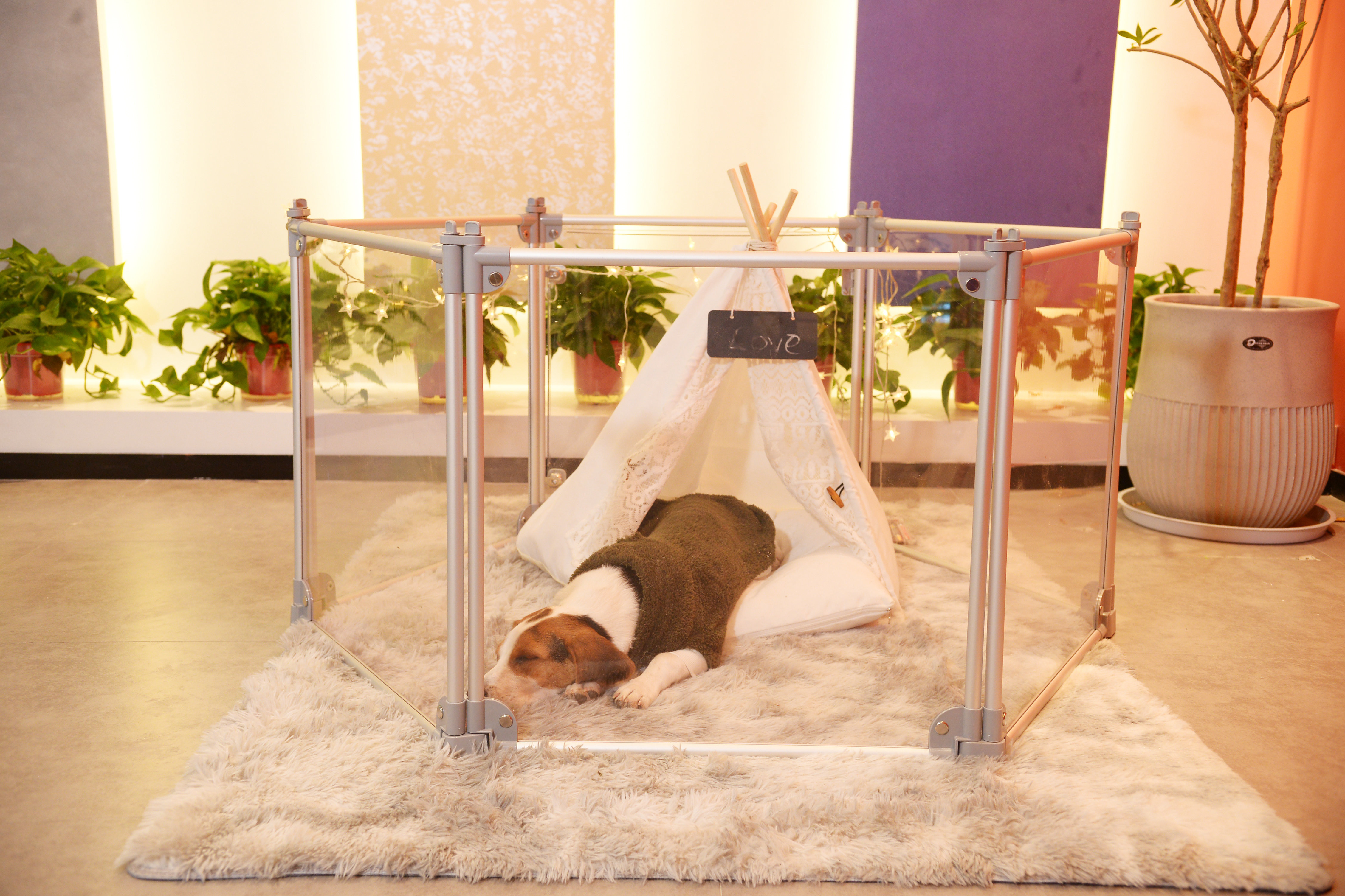 Durable Transparent Foldable Pet Playpen For Indoor And Outdoor