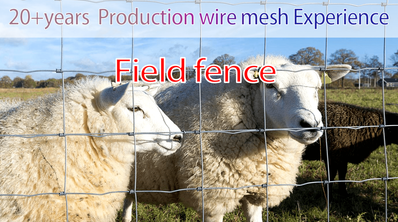Inexpensive Farm Fences Fences of Various Heights Goat Farming Grassland Cheap Field Fences