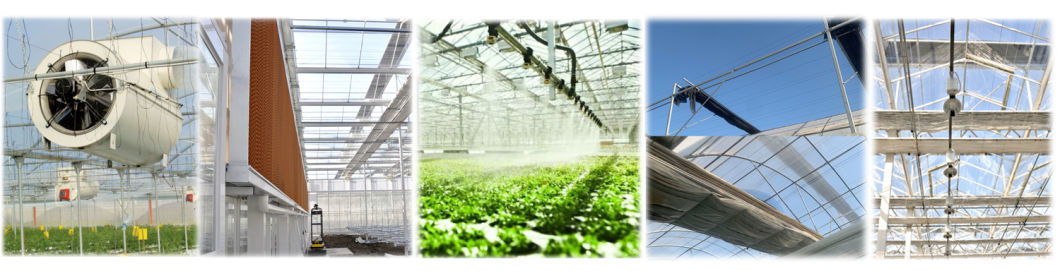 China Dual-Layer Film Greenhouse for Pepper Cultivation