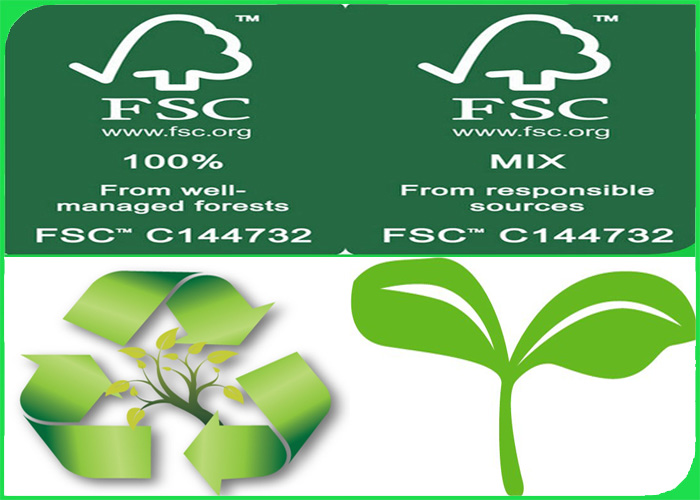 250gsm 300gsm 350gsm high brightness Coared FBB board with pure wood pulp