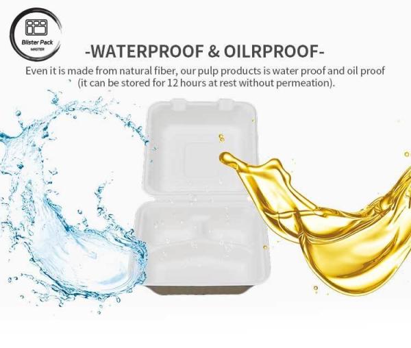 9 Inch Biodegradable Clamshell Takeout Containers Eco Friendly Disposable Food