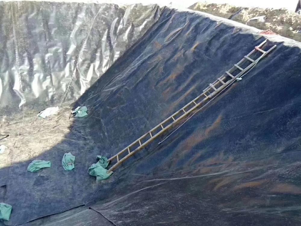 1mm HDPE Geomembrane for Agricultural Circular Tarpaulin Fish Pond Waterproofing