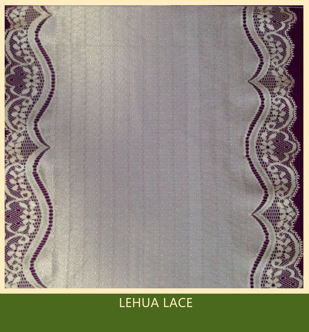 Hot Selling and nice quality Nylon Spandex Stretchy Brazil Lace from China