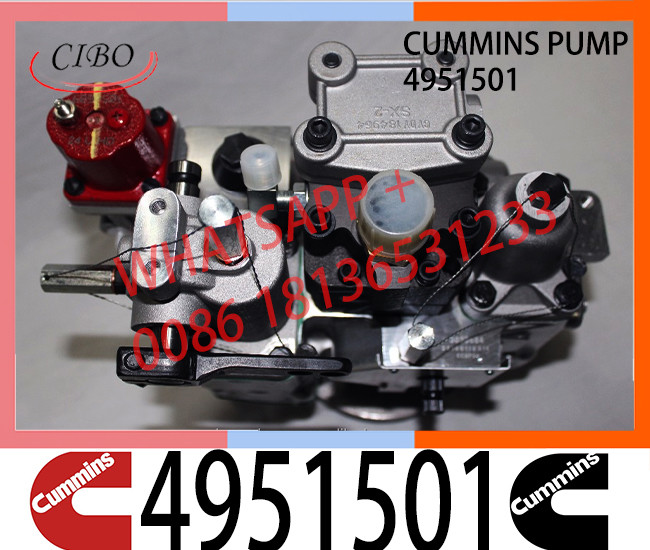 Cummins NT855 NTA855 Fuel Pump 4951501 3019487 560659 3019488