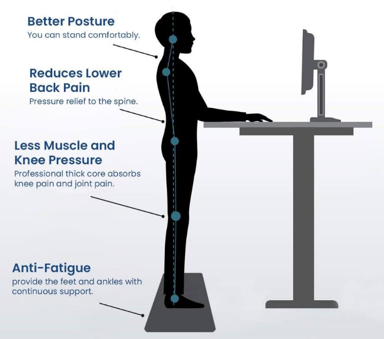 Storable Standing Desk Adjustable Single Motor Sit Stand Desk For Home Office