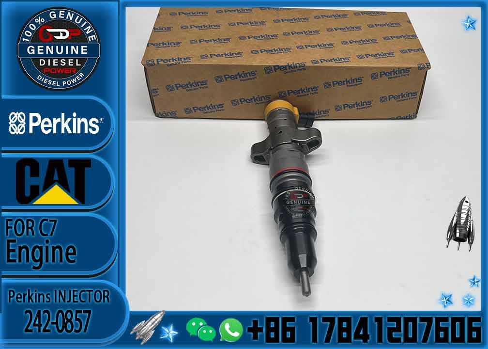 Diesel Engine Parts Common Rail Fuel Injector 242-0857 for CAT C9 330D 340D 336D Excavator CNDIP Factory price