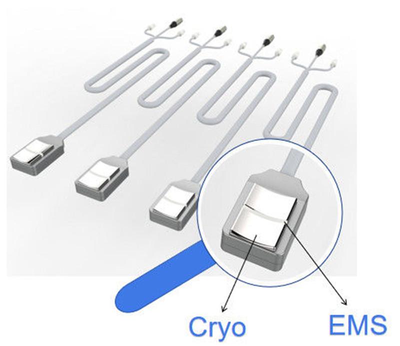 4 Handles 30Hz Cryolipolysis EMS Machine For Body Slimming