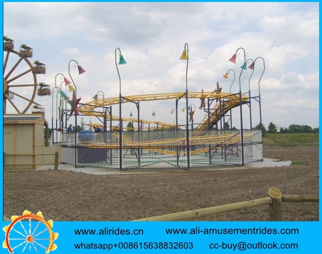 Wacky Worm/Caterpillar Slide Amusement Park Rides dragon coaster for sale